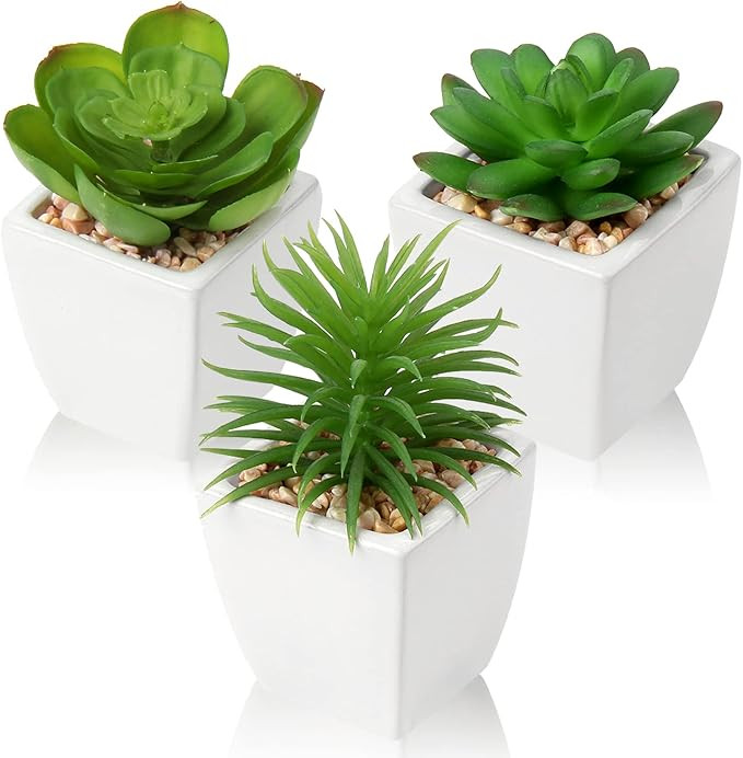 Hollyone Succulents Plants Artificial 3Pcs Small Fake Succulents in Pots Faux Plastic Potted Plan... | Amazon (US)