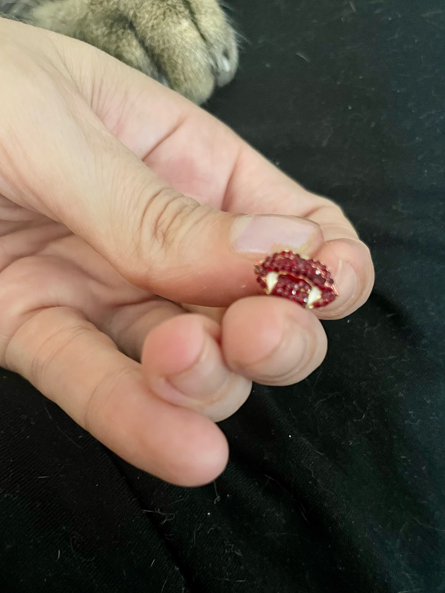 Cats. All black. And subtle spooky details. So excited for Halloween over here! #investmentpiecr 

#LTKFindsUnder50 #LTKStyleTip #LTKHalloween