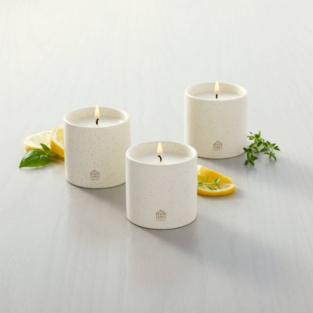 9oz Basil/Lemon/Thyme Speckled Ceramic Kitchen Candle Set - Hearth & Hand™ with Magnolia | Target