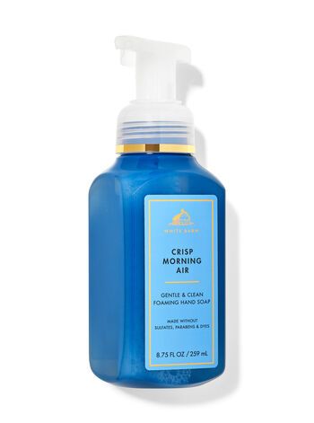 Crisp Morning Air


Gentle & Clean Foaming Hand Soap | Bath & Body Works