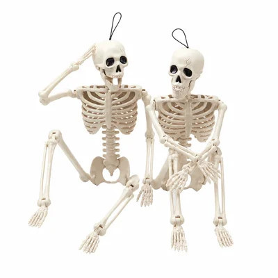 2 PCS 24” Halloween Skeleton Decor | Wayfair North America