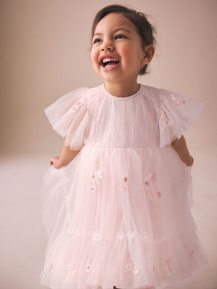 Pastel Pink Embroidered Mesh Occasion Dress (3mths-8yrs) | Next US