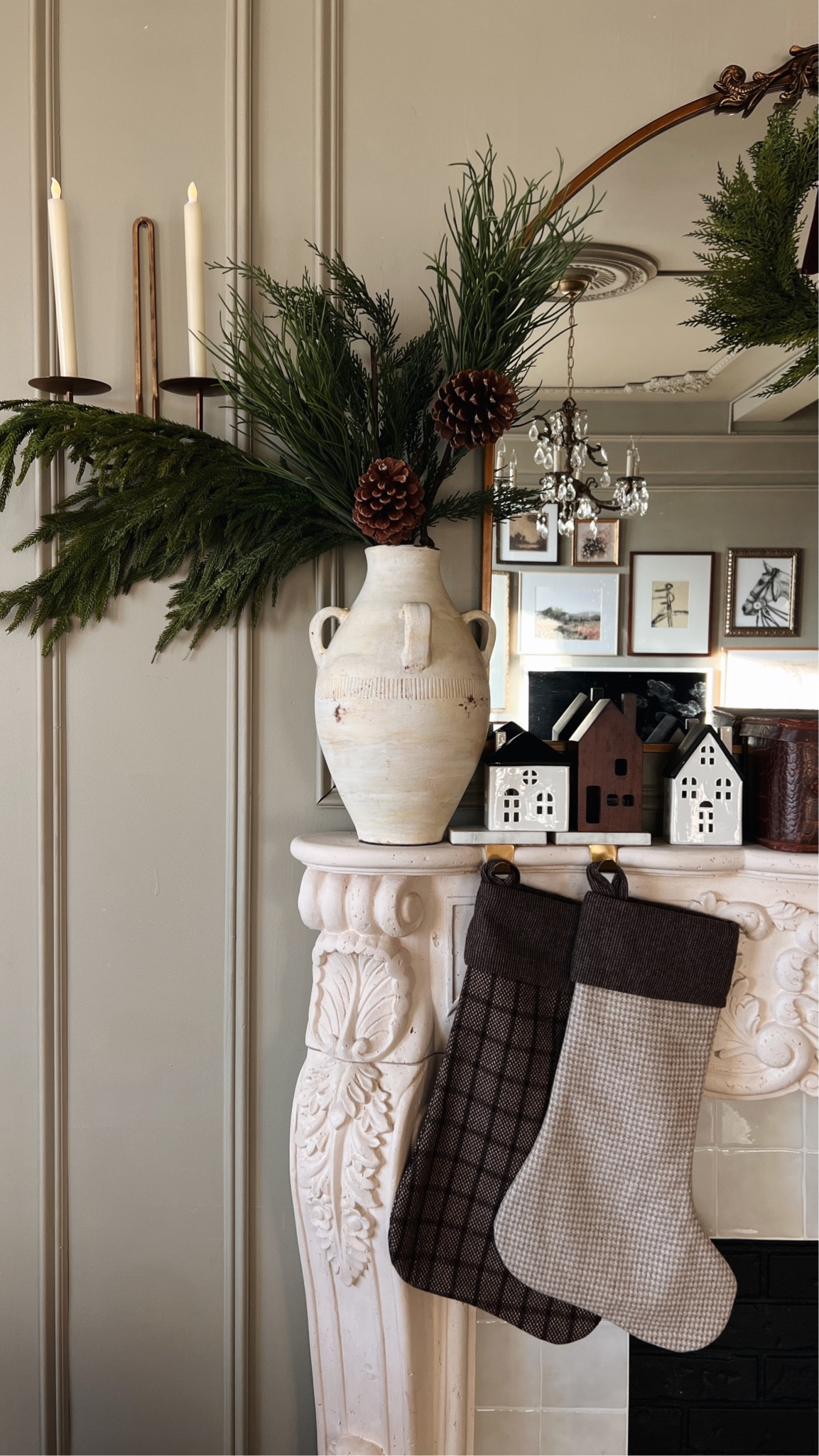 pine branches for the holidays 