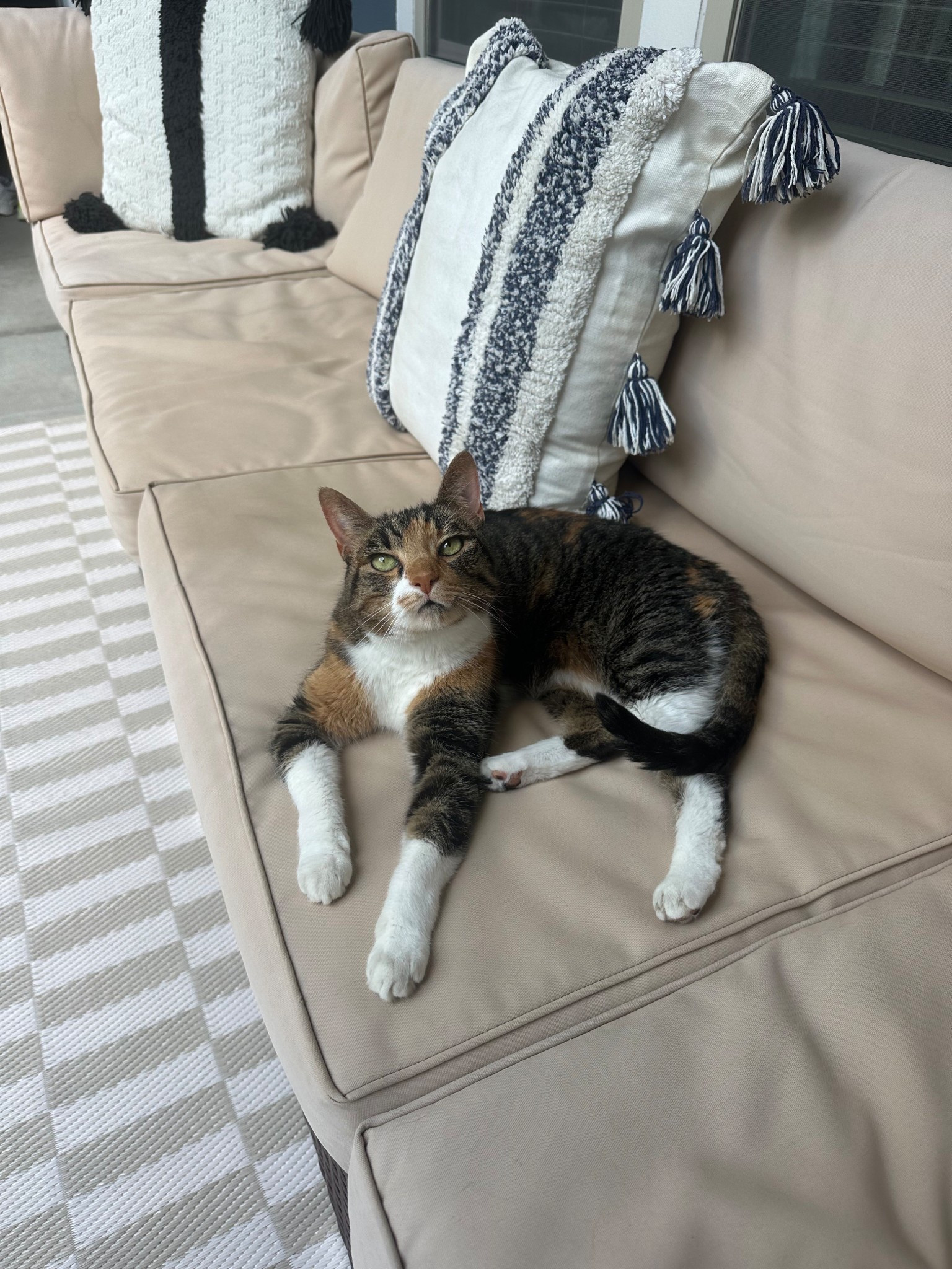 patio furniture, Target find, outdoor rug

#LTKHome #LTKPets