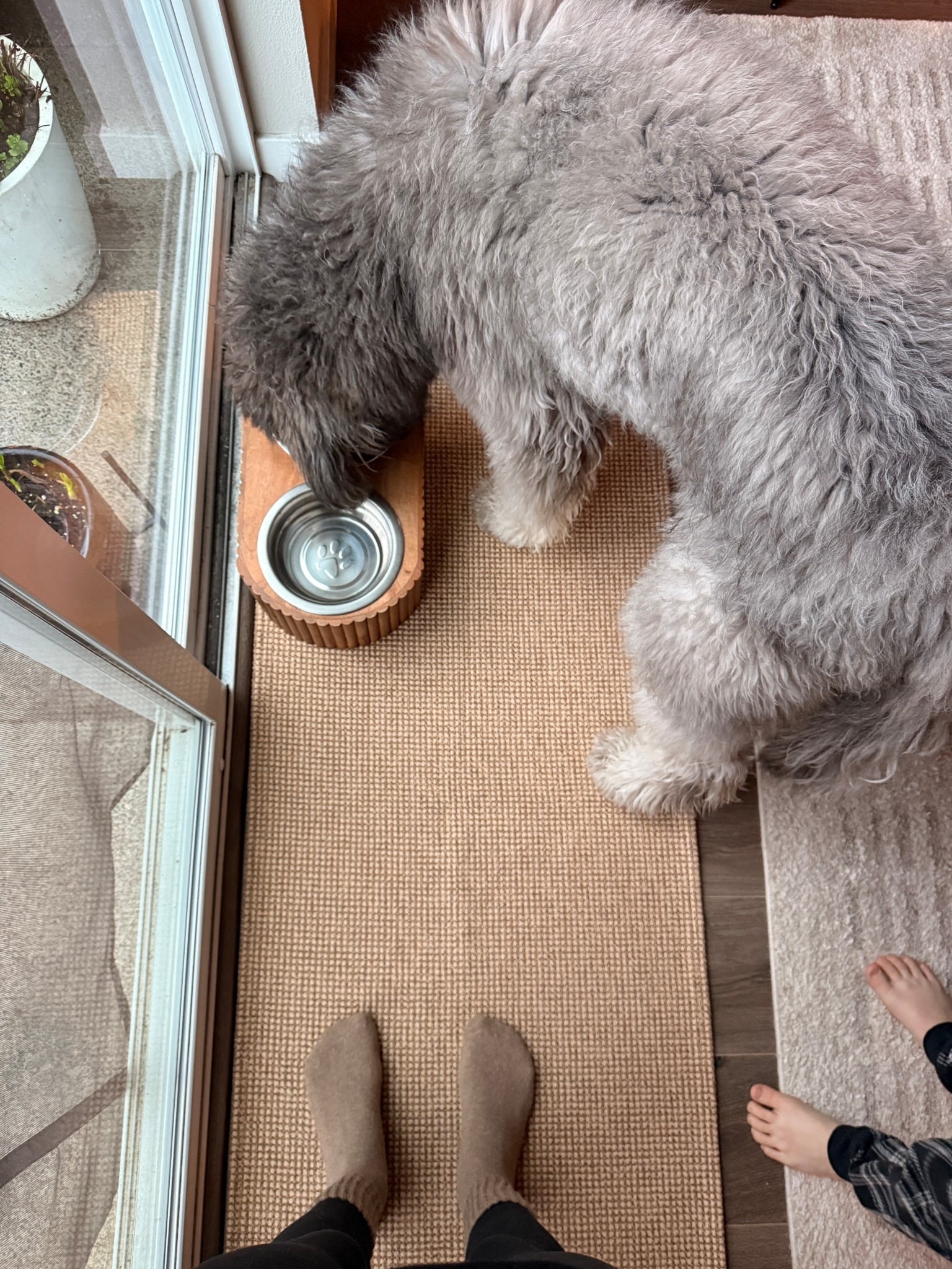 The perfect back door rug runner that hides dirt! Neutral and washable. Non slip backing so it stays put but I did add rug tape for extra support because my dog is a spaz. 

#LTKSpringSale #LTKHome #LTKSaleAlert