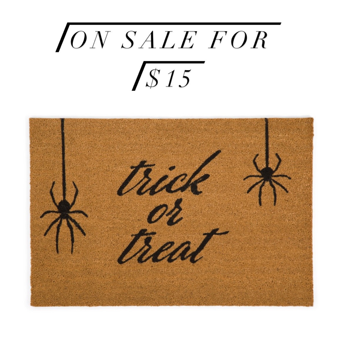 #LTKHalloween #LTKSeasonal #LTKhome