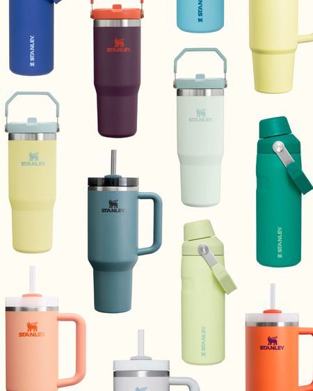 Spring has sprung at Stanley! Drooling over these new colors — looks like I’ll be ordering a new color in each of my favorite sizes (40oz & 30oz Quenchers, 30oz IceFlow Flip Straw, and the IceFlow Fast Flow)! 😅

@stanley_brand   
#stanleypartner

#LTKSeasonal #LTKfindsunder50 #LTKstyletip