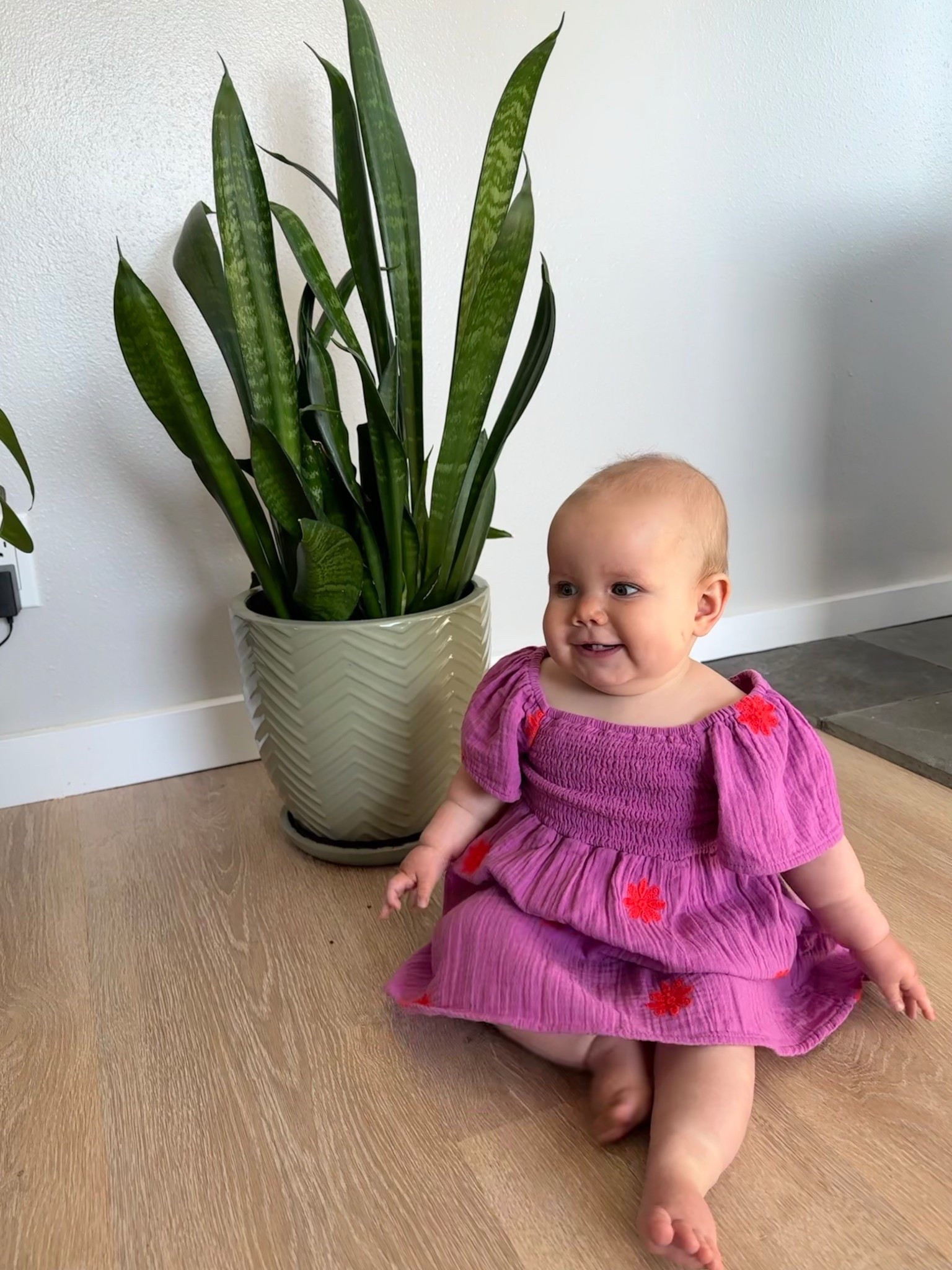 The sweetest summer dress for your little one! 🌸💜 Loving this floral embroidered toddler dress from Cat & Jack — perfect for sunny days, family outings, and everything in between. Soft, comfy, and under $15! 👏 #momwin

👗 Wearing size: 12 months

#ToddlerStyle #CatAndJack #TargetStyle #MiniFashionista #ToddlerOOTD #LTKKids #LTKBaby #MomsOfInstagram #AffordableKidsFashion #SummerStyle #MatchingMini #TargetFinds #KidFashionTrends #MomLifeStyle


#LTKFindsUnder50 #LTKBaby #LTKKids