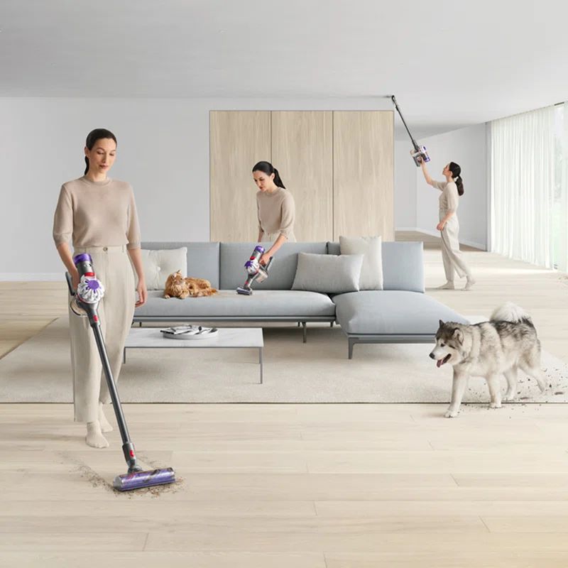 Dyson V8 Cordless Vacuum with 5 Extra Accessories | Wayfair North America