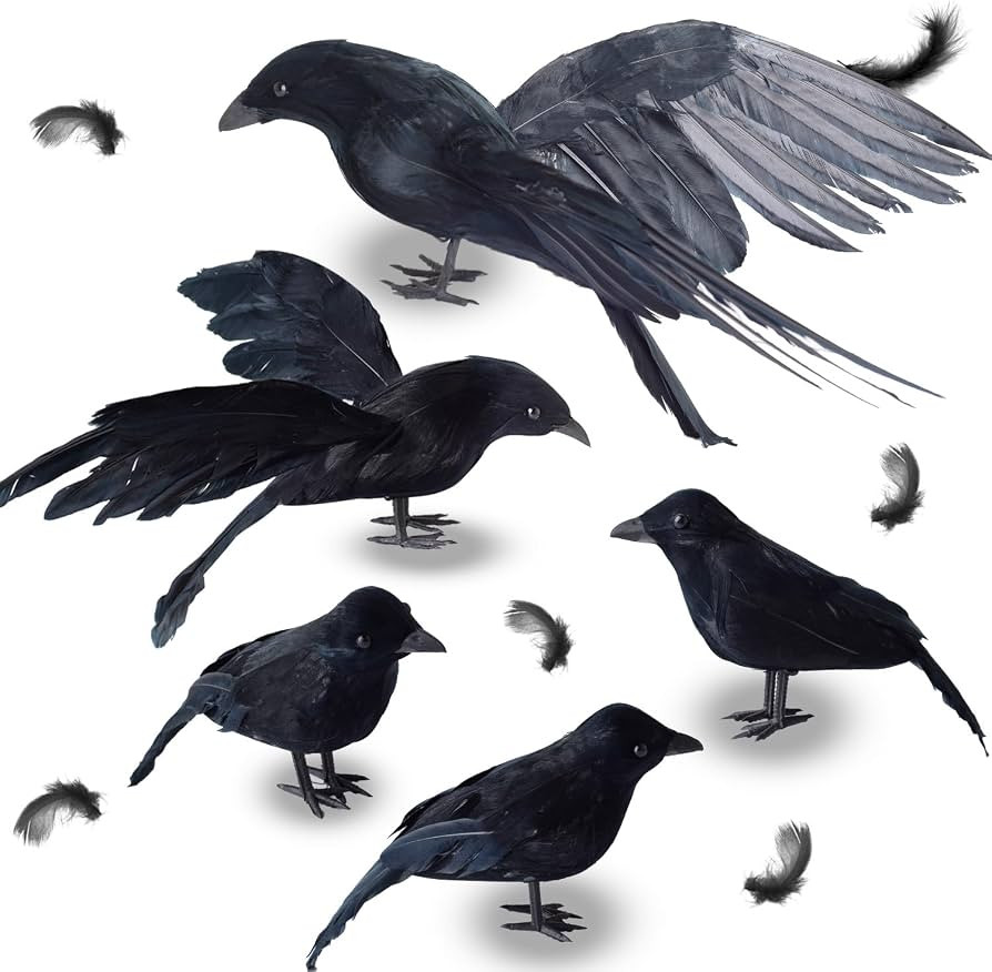 5 Pack Black Feathered Crows Halloween Decorations Indoor Outdoor | Amazon (US)
