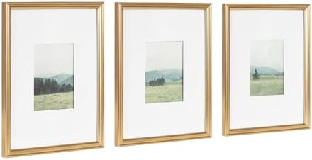 Kate and Laurel Adlynn Decorative Rectangle Watercolor Framed Art Set of 3; 11 x 14 matted to 5 x... | Amazon (US)