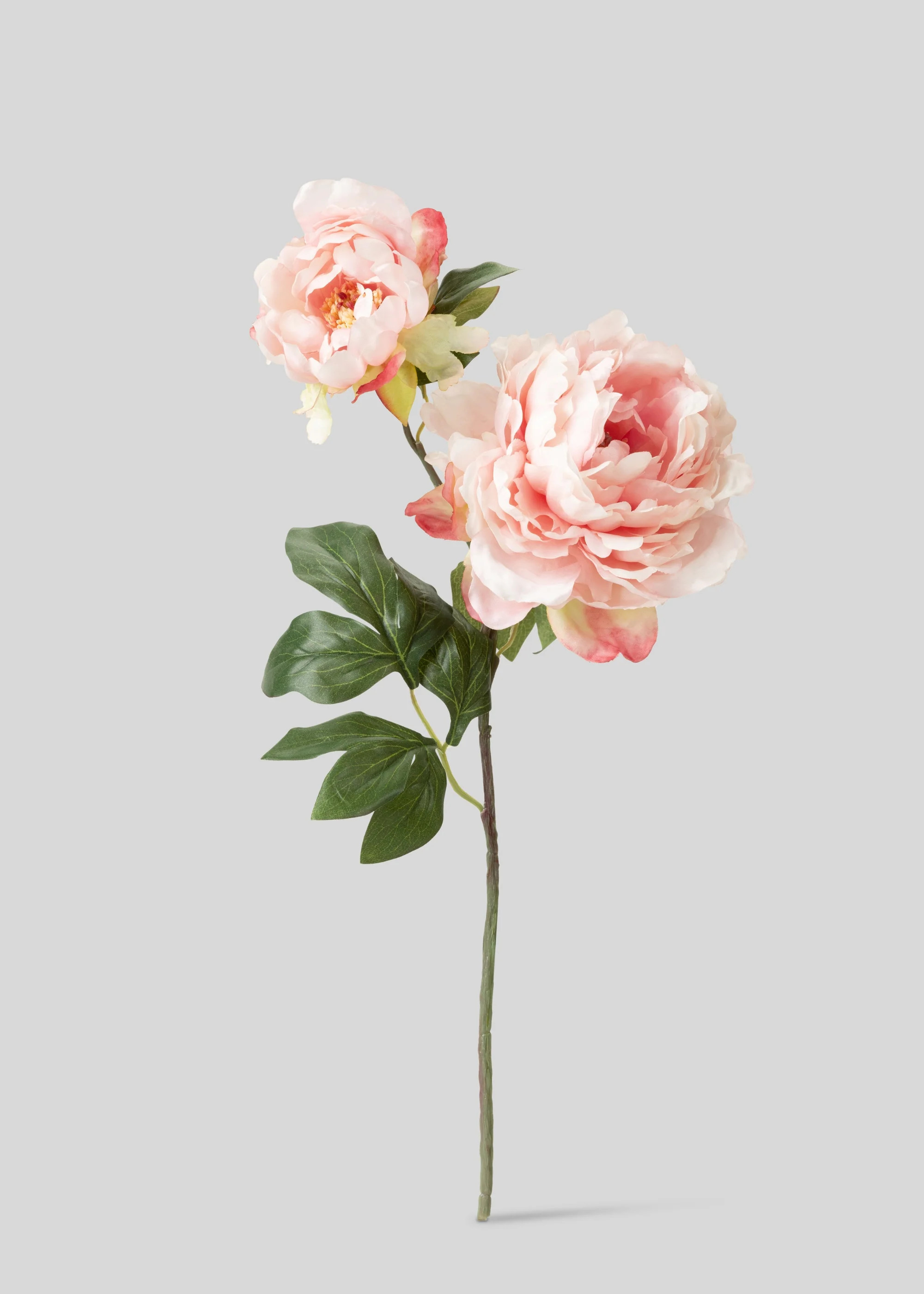Pink Artificial Blooming Peony with Bud - 19.5 | Afloral