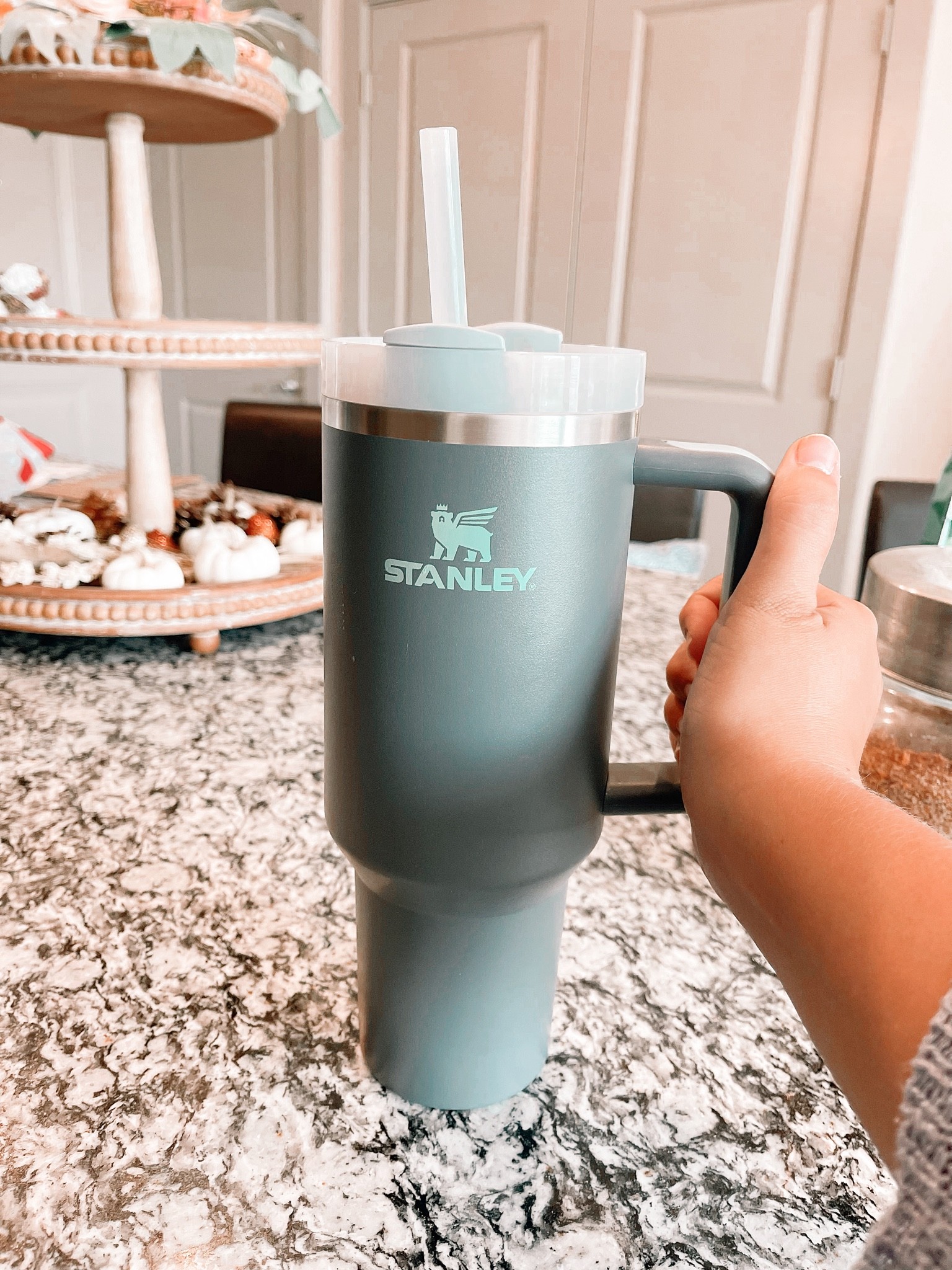 Stocking up on every color of Stanley Cup!

#LTKSeasonal #LTKCon #LTKunder50