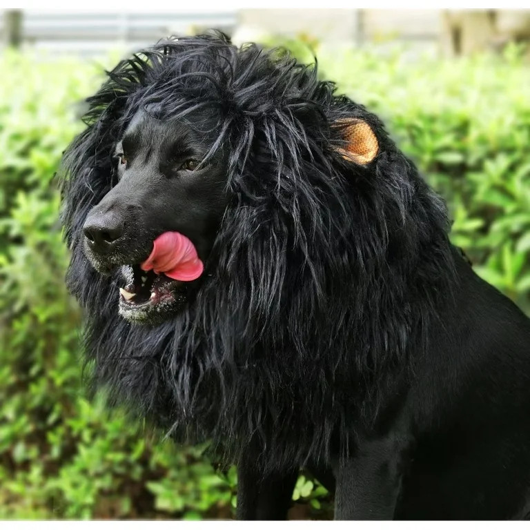 Lion Mane Wig for Dogs, Funny Pet Halloween Costumes, Furry Dog Clothing Accessories (Size L, Bla... | Walmart (US)