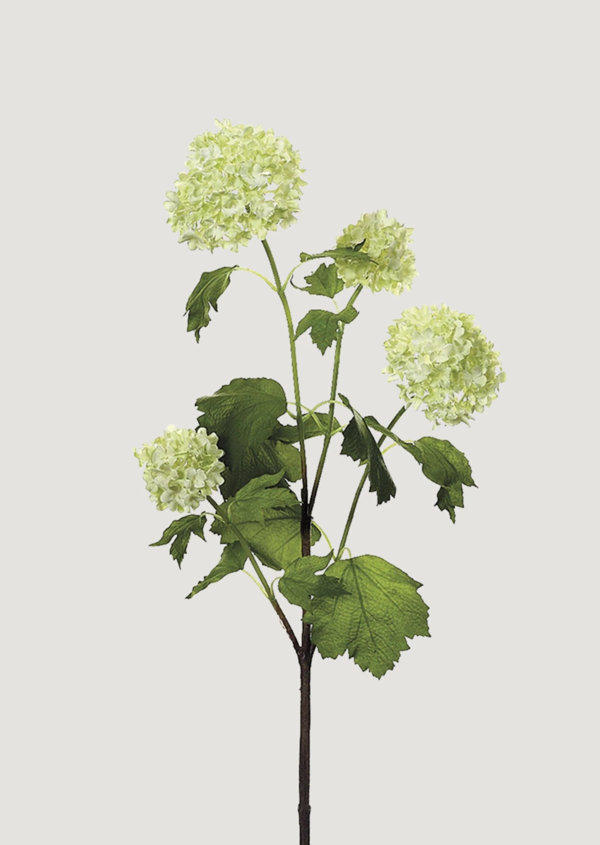 Green Cream Artificial Snowball Flowers - 24" | Afloral