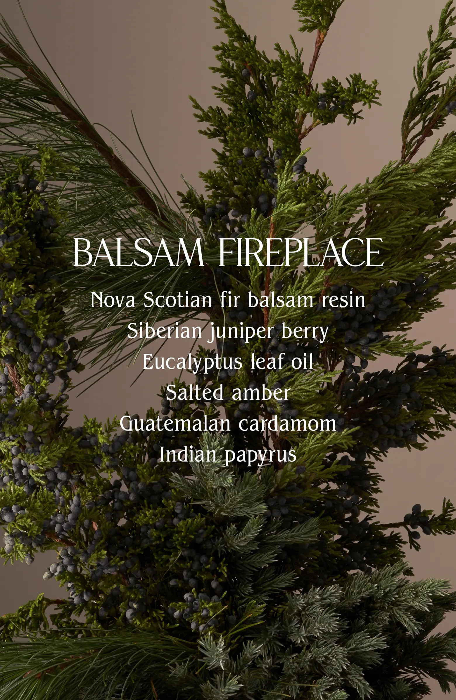 Balsam Fire Hand Wash | Nordstrom