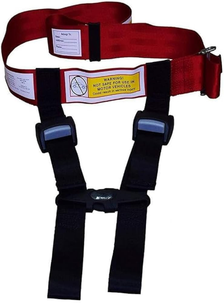 Child Airplane Safety Harness - The Safety Restraint System Will Protect Your Child from Danger. ... | Amazon (US)