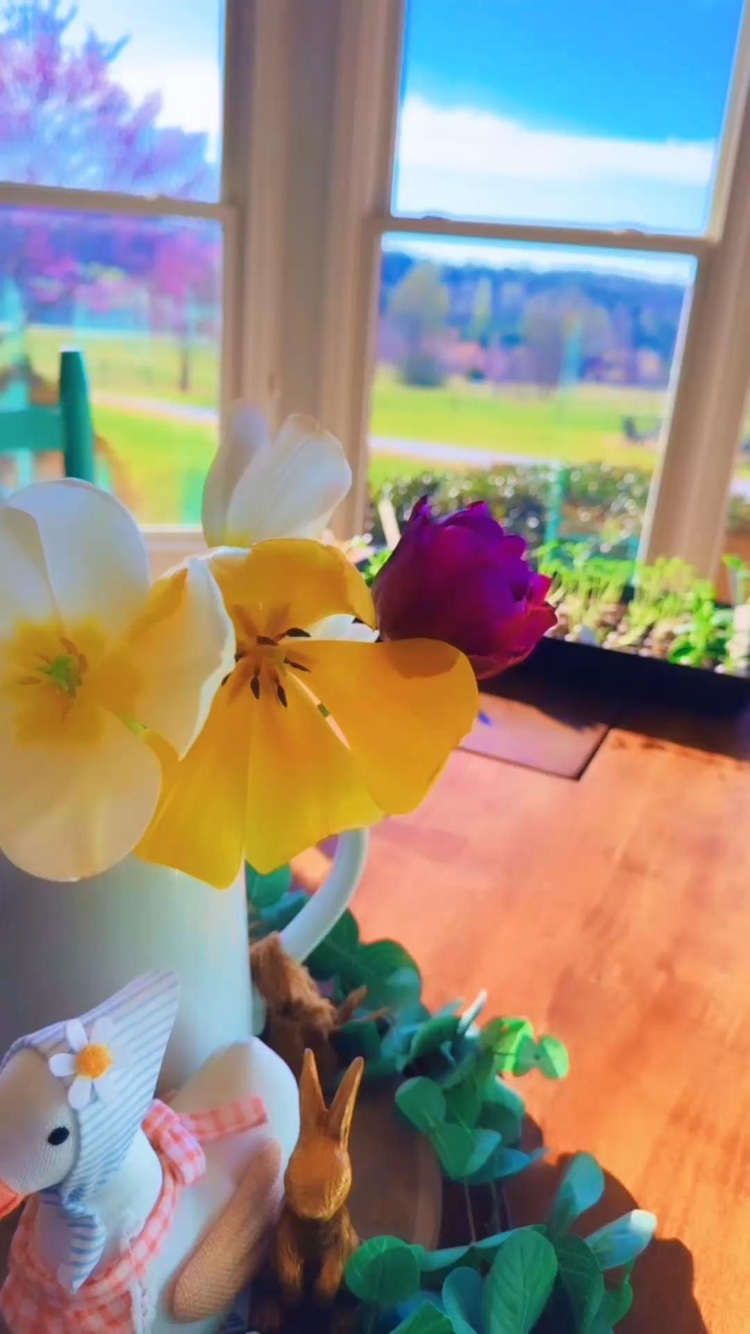 & the seedlings are popping, too!! 🌱 