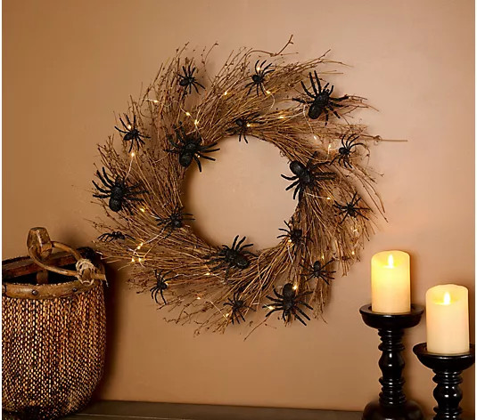 Hay & Harvest 26" Lit Rattan Spider Wreath | QVC