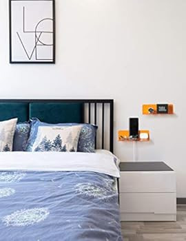 OAPRIRE Small Acrylic Floating Wall Shelves Set of 2, Flexible Use of Wall Space, 9 Inch Adhesive... | Amazon (US)