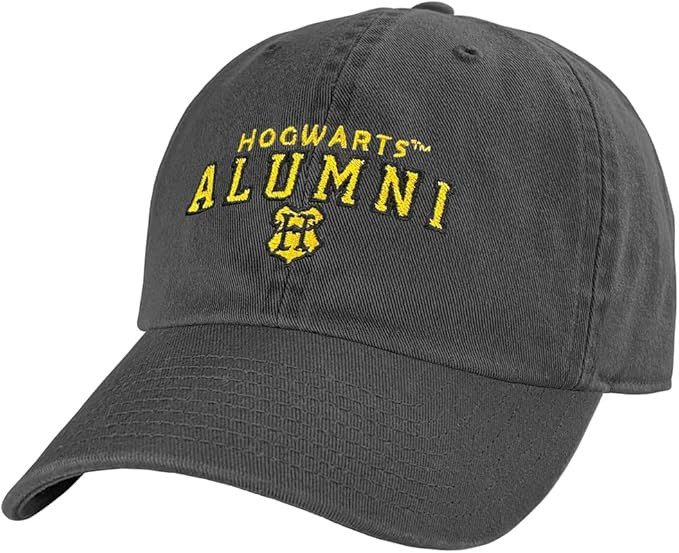 Popfunk Official Harry Potter Houses Arch Pop Culture Dad Hat - The U18 Adjustable Relaxed-Fit Ca... | Amazon (US)