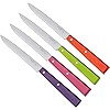 Opinel No. 125 Table Knives, 4 Piece Set, High Carbon Steel Dinner Knives for Parties, Entertaini... | Amazon (US)