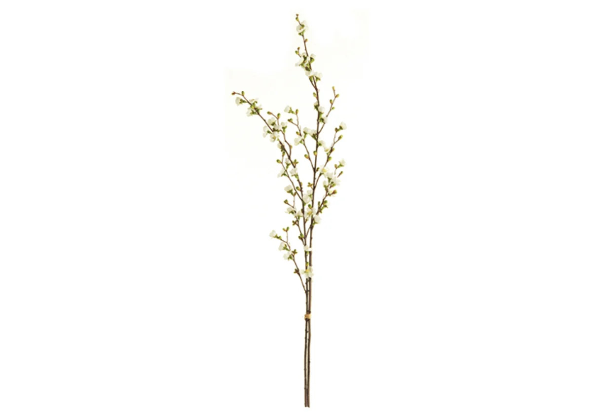 QUINCE BLOSSOM BUNDLE | Alice Lane Home Collection