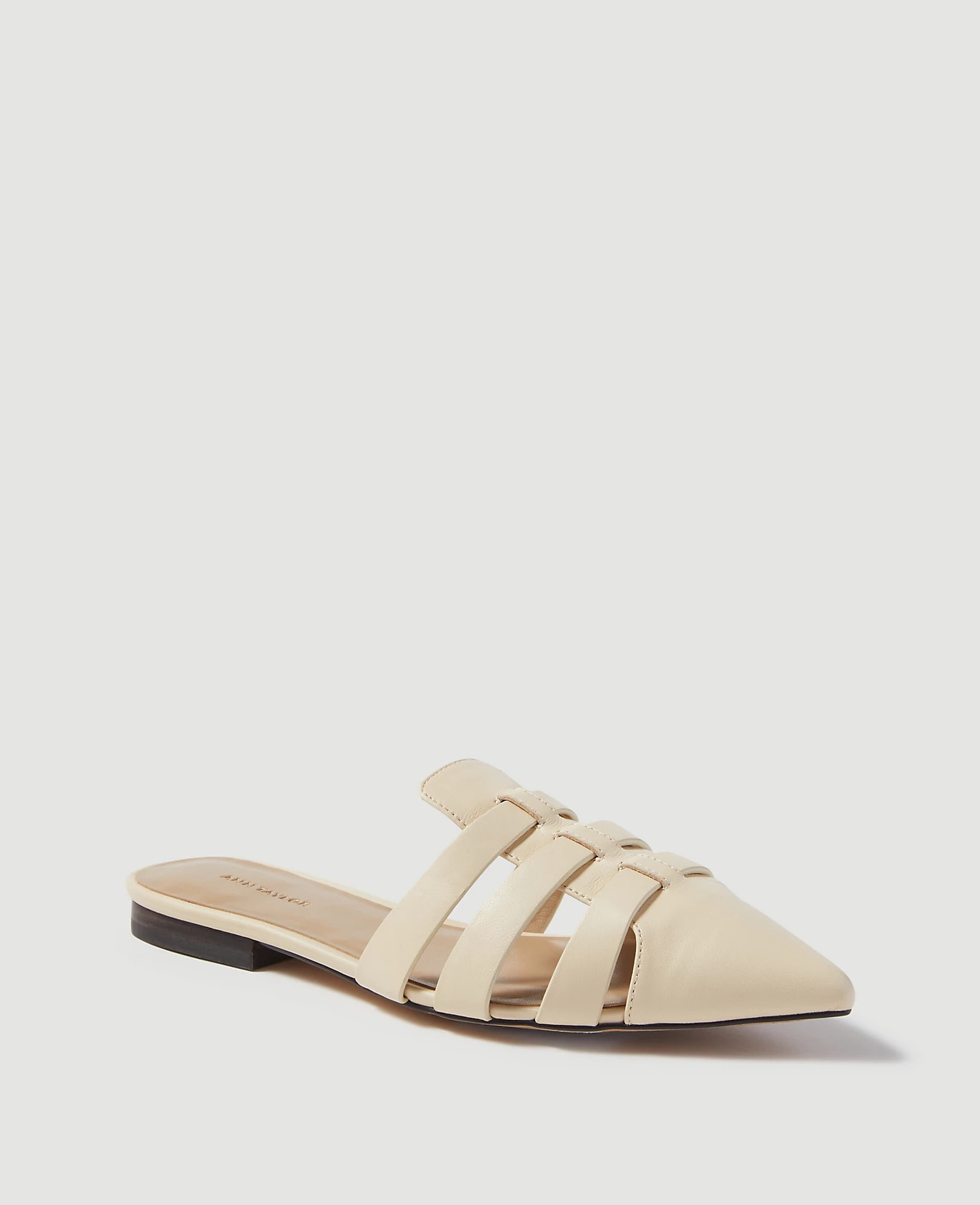 Sydnee Leather Pointy Toe Mule Slides | Ann Taylor | Ann Taylor (US)