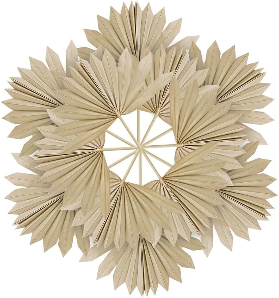 10 Pcs Dried Palm Leaves Small Boho Palm Leaves Decor Natural Dried Palm Fans Boho Flowers Arrang... | Amazon (US)