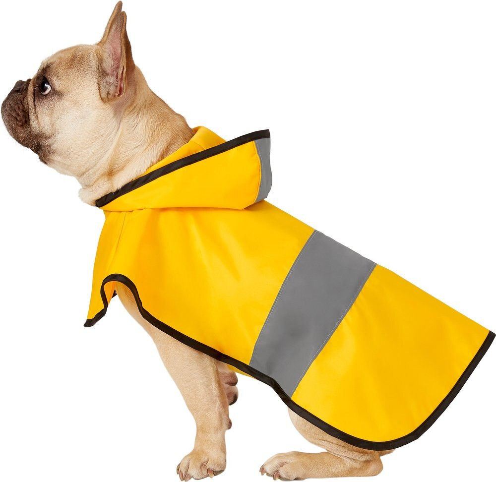Frisco Rainy Days Dog Raincoat, Medium, Yellow | Chewy.com