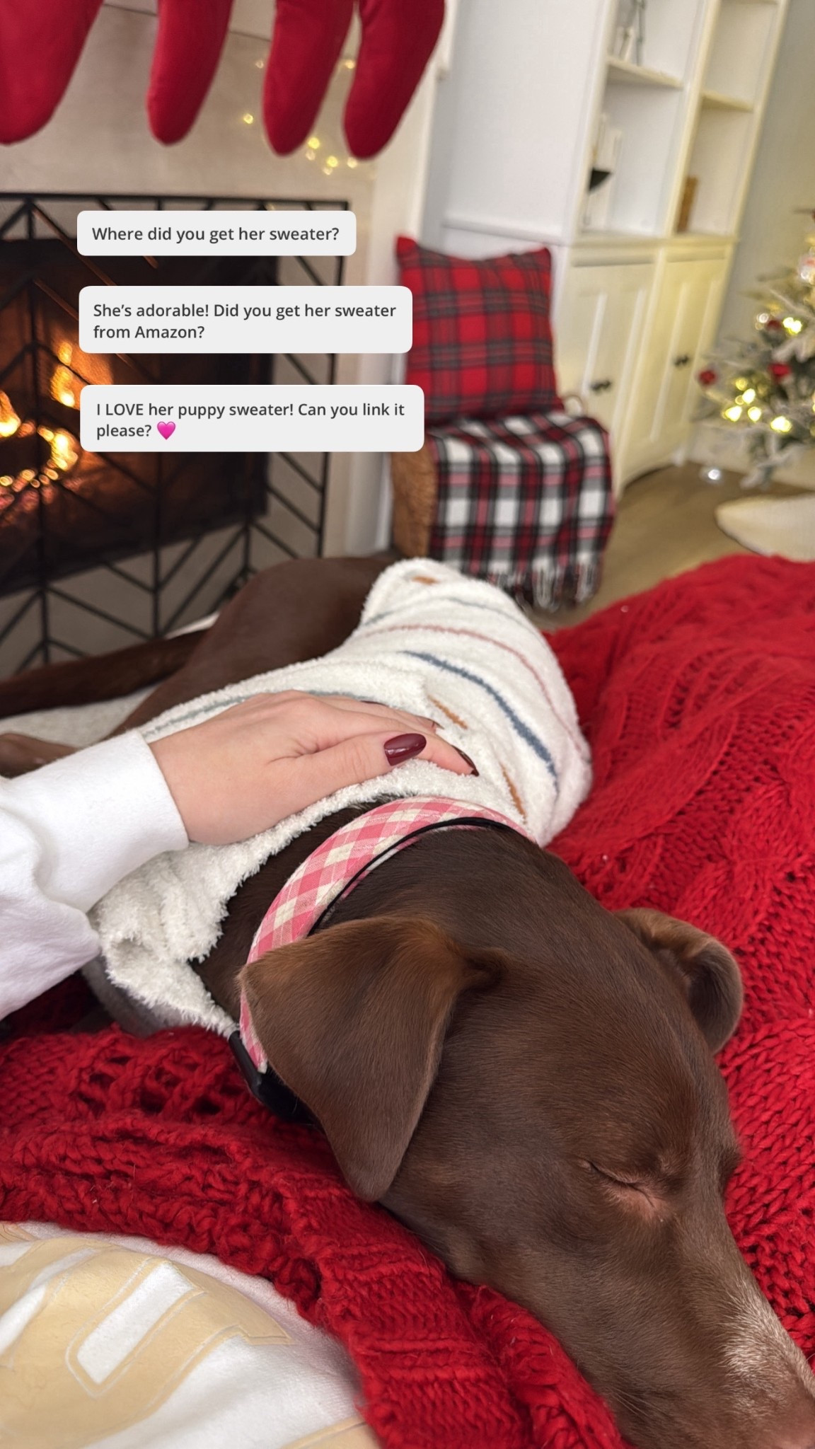 Had a few questions on instagram about our Lulu girls sweater! It looks like the exact pattern I have for her is out of stock but linked other patterns made from the same material! #LTKPets

#LTKSeasonal #LTKFindsUnder50 #LTKSaleAlert