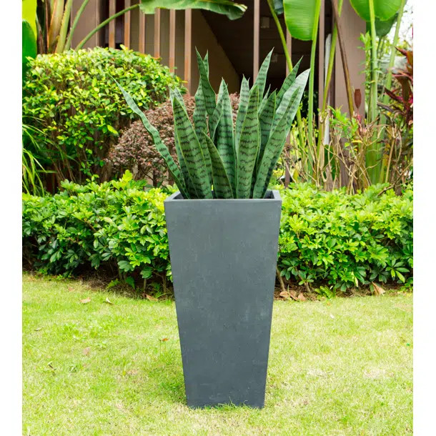Hetum Pot Planter | Wayfair North America