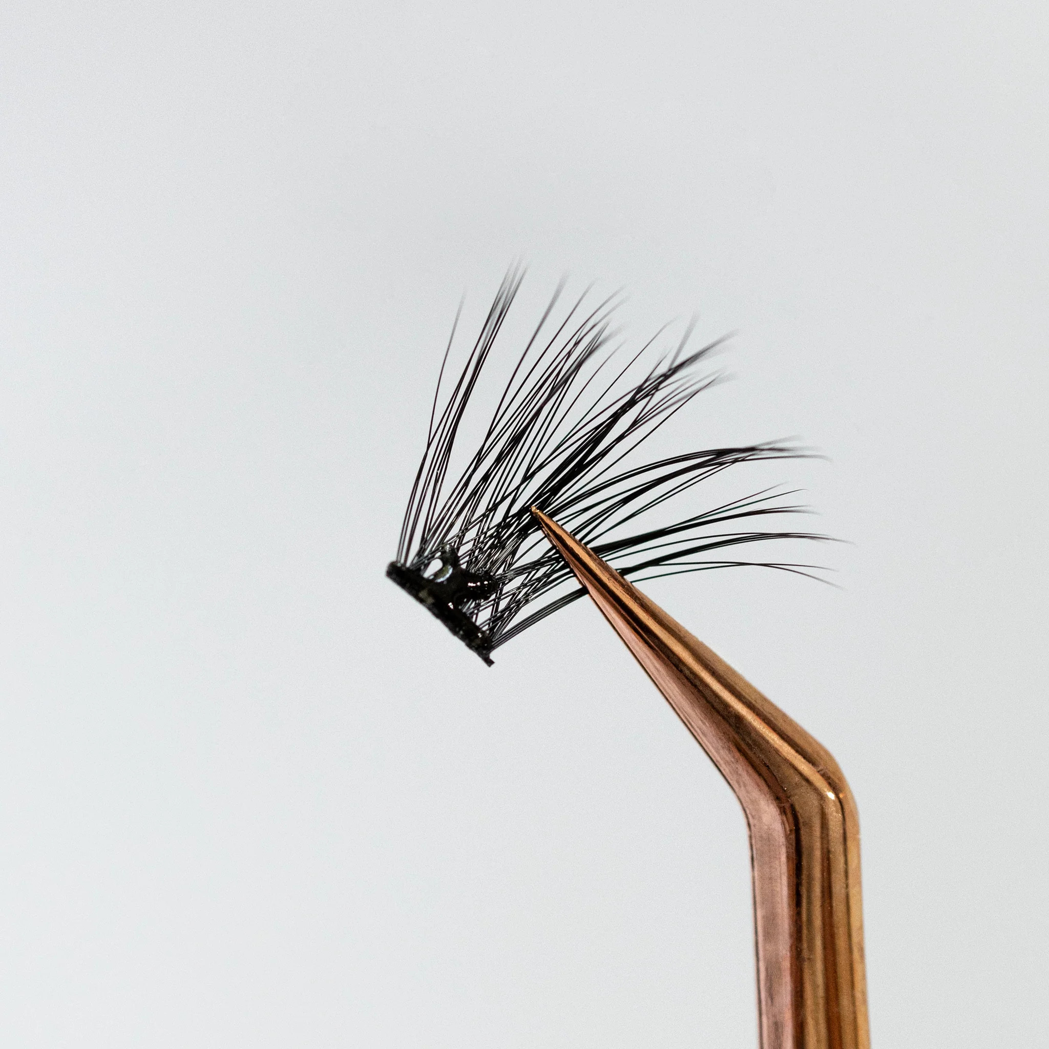 Bridget | Virago Babe