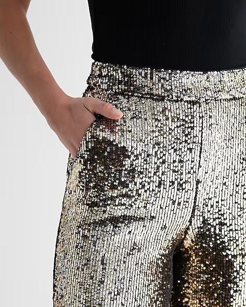 High Waisted Sequin Wide Leg Pant | Express