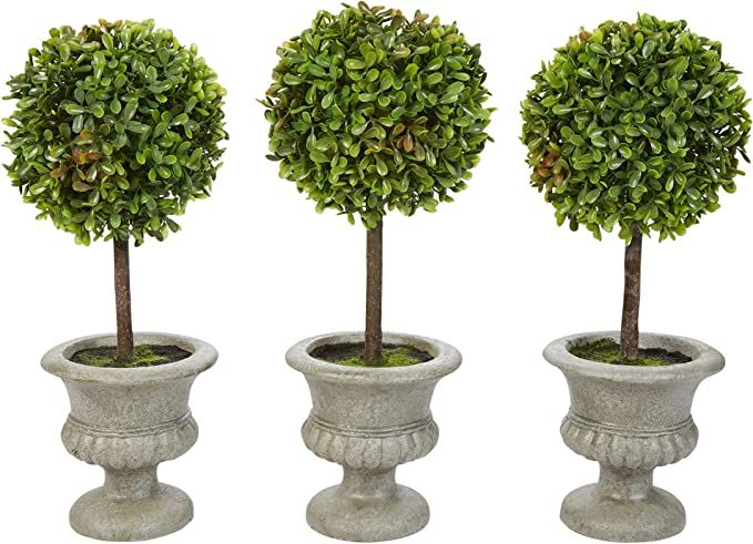 Home Faux Boxwood – 3 Matching Realistic 12.5" Tall Topiary Arrangements for Indoor or Office D... | Amazon (US)