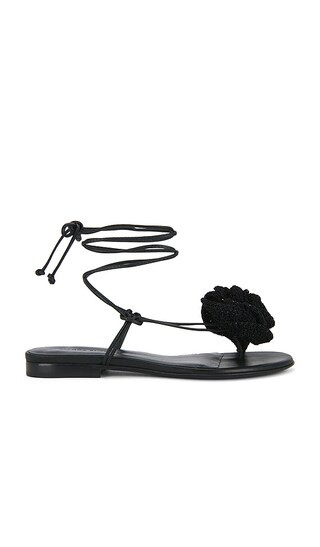 Wrap Around Flower Sandal in Black | Revolve Clothing (Global)