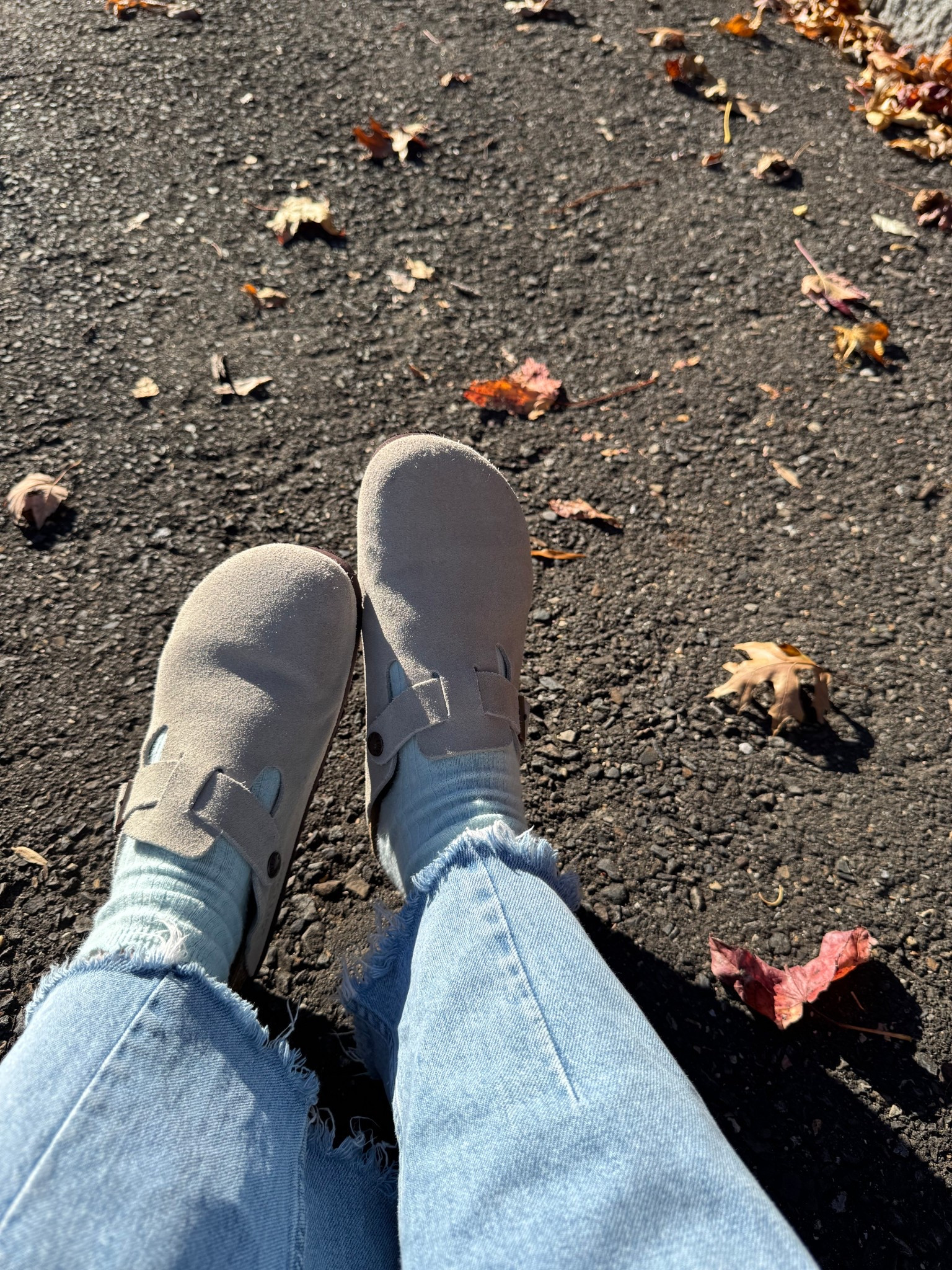 Amazon clogs

#LTKSeasonal #LTKFindsUnder50