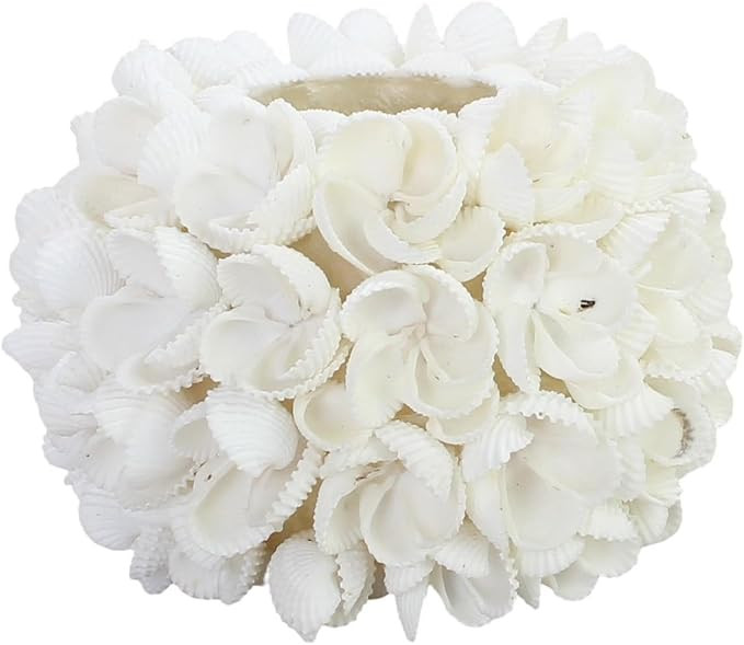 Handmade Seashell Blossom Candle Holder, Natural White Shell Votive & Tealight Holder, Coastal Be... | Amazon (US)