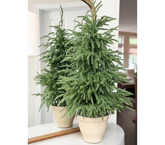 Simply Stunning 36" Real Touch Pine Slim Tree by Janine Graff | QVC