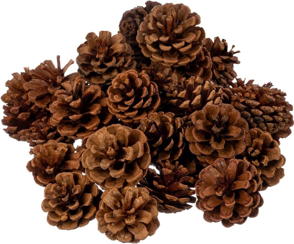 Nautical Crush Trading Cinnamon Scented Pinecones 1 lb for Decorating - 40 Pack Small Cinnamon Pi... | Amazon (US)