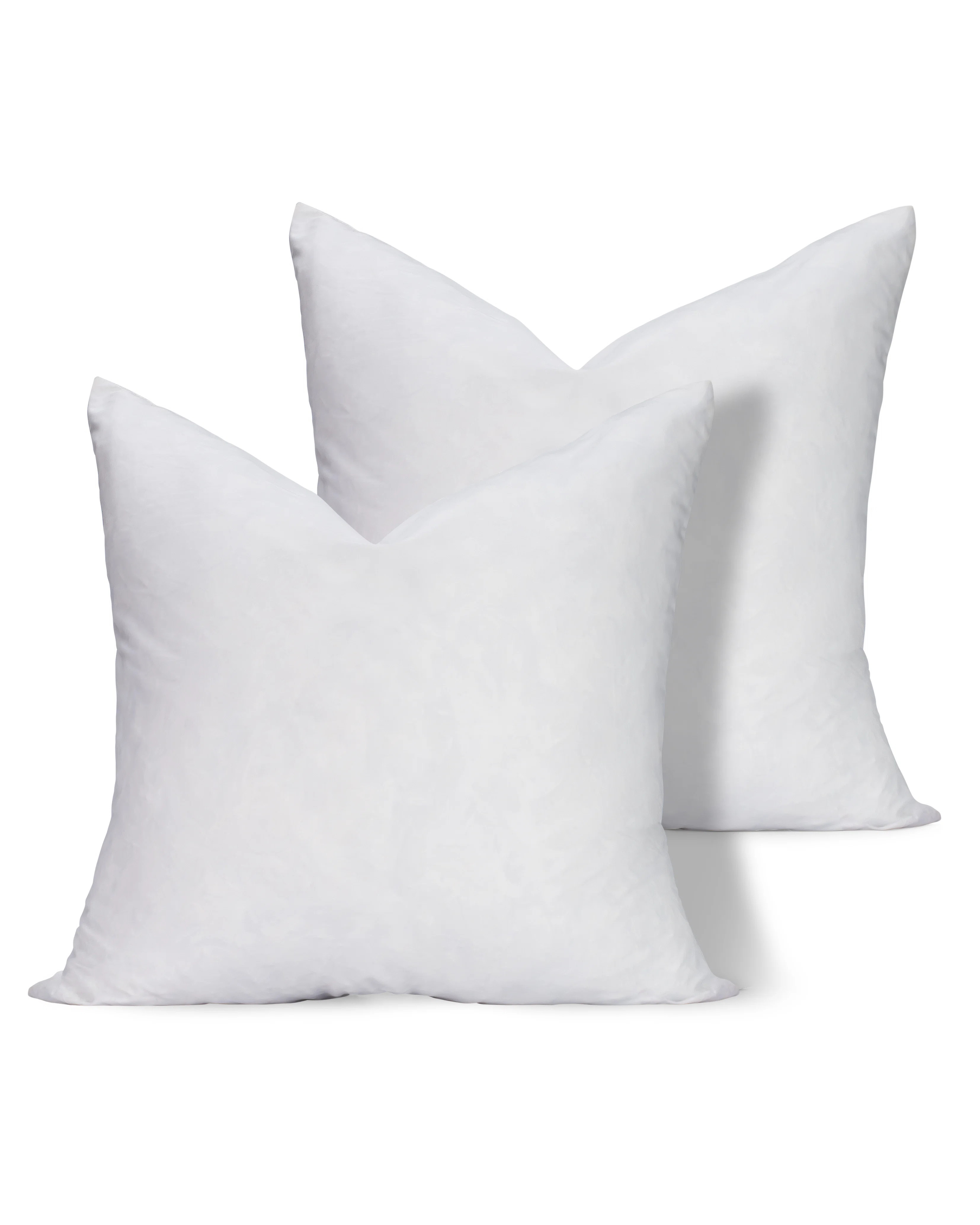Feather Down Fill Pillow Insert (Set of 2) | Wayfair North America