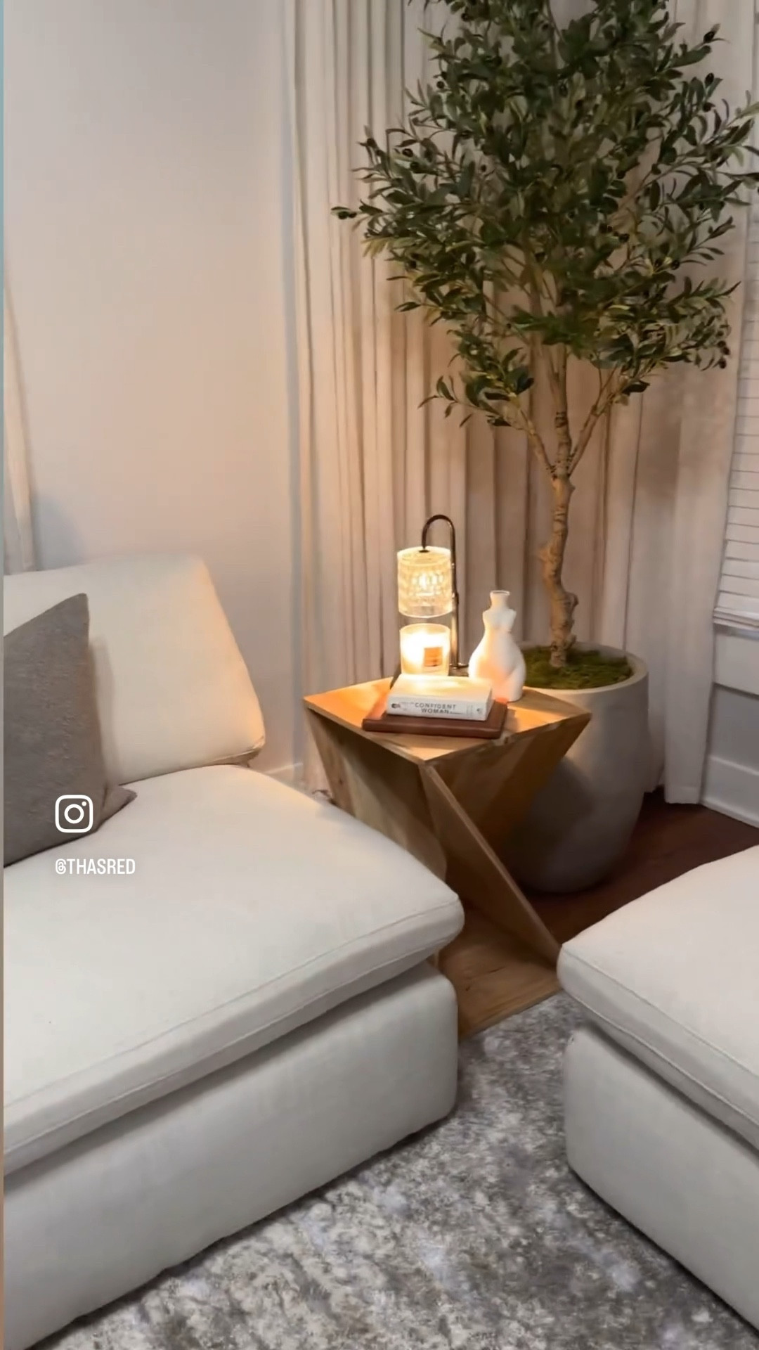 Living room Design 
Light, earth tones, textures and wood 