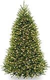 National Tree Company Pre-lit Artificial Christmas Tree | Includes Pre-strung White Lights, PowerCon | Amazon (US)