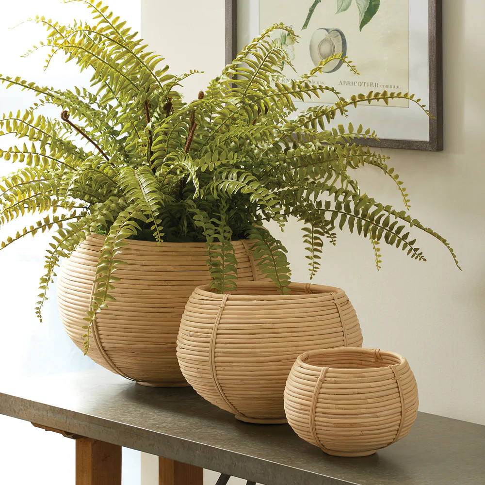 Luca Plant Baskets Set of 3 | Gorgeous Living