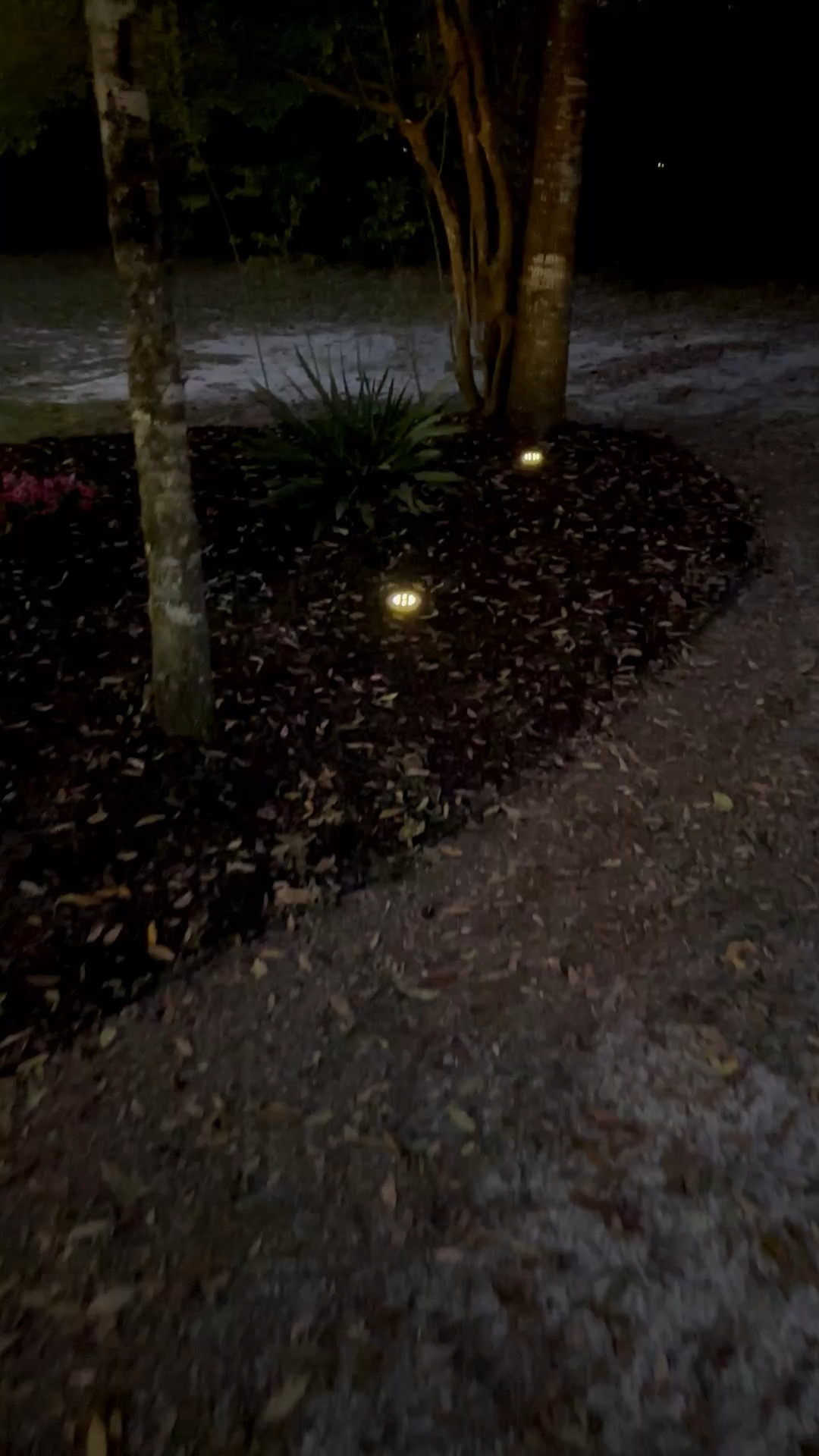 I’m obsessed with these ground solar lights!! 

#LTKHome