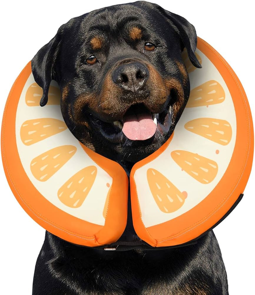 Dog Cone Collar for Small Medium Large Dogs for After Surgery, Pet Inflatable Neck Donut Collar S... | Amazon (US)