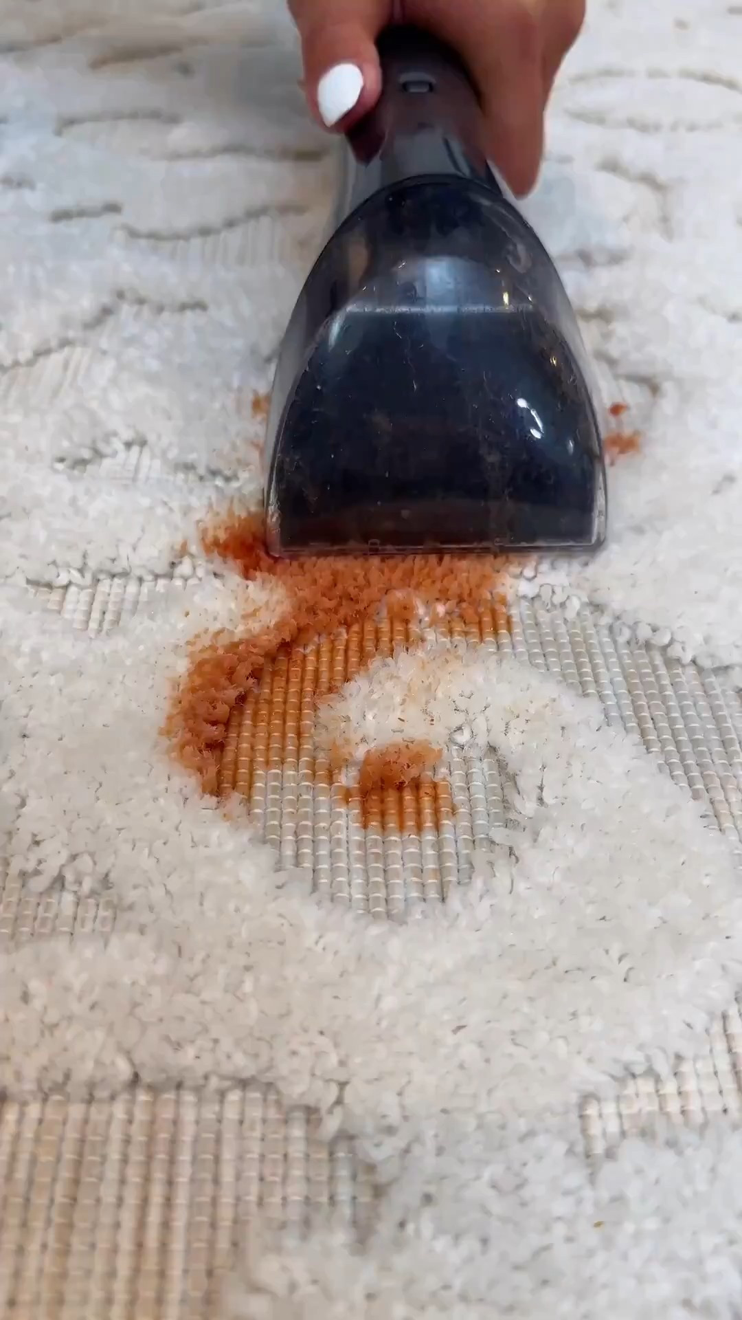 Bissell little green mini portable carpet cleaner Now on sale
