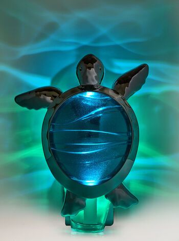 Water Turtle Color-changing Projector


Wallflowers Fragrance Plug | Bath & Body Works