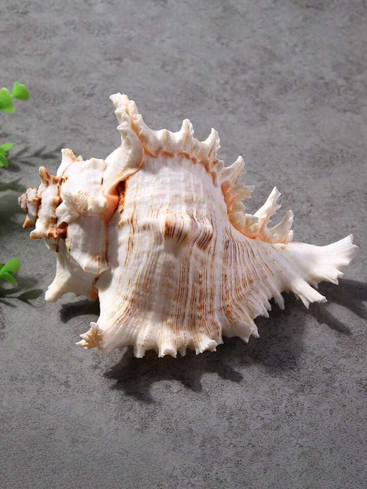 1pc Ocean Shell Conch Shaped Decorative Accessory For Aquarium & Fish Tank Landscaping | SHEIN