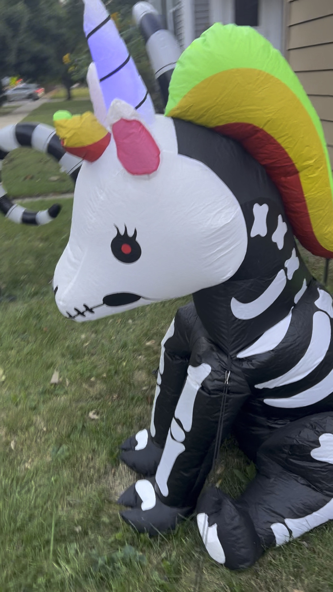 Bringing in the black and white in my yard this Halloween season.  Sandworm? Check!  Unicorn skeleton? Check.  Mysterious tails? Check, check, check!

#LTKHalloween #LTKHome #LTKVideo